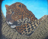 [Linda Paulsen Spotted Jaguar image]